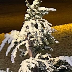 Meet your Posher, Lourdes